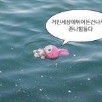 생각해보면 <b>망신살</b> 없는 능력 ㅈㄴ 부러움