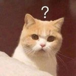 뭐?