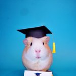 <b>남돌</b> 일반인여친하기 넘 힘들다…