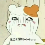 한국축구 <b>정몽규</b> 회장 못쫒아낸순간 망한거에요