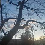 안녕하세요 이정도면 <b>부탁</b>