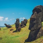 <b>모아이돌</b> 유명유로 뜬거래