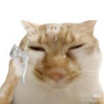 와 진짜 <b>긴장</b> 너무 심하게 하는사람 있어?