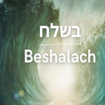 [유다이즘] 파라샤 베샬라흐(בְּשַׁלַּח) 요약