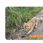 [<b>레이</b>] 사담)(오리빙의)그리운 베리레드(mommy)