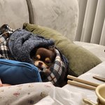 댕댕이 10주년 <b>생일</b>축하해줘!