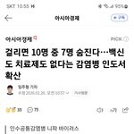 야 진짜 큰 거 올거 같다