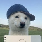 나 살빼면 <b>몸매</b> 좋아지기 가능이냐