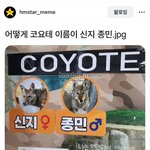 난 전혀 <b>급식</b> 시절이 그립지 않음