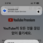 ㅈㄴ 아깝지만 안 쓸<b>수</b>가 없는 돈..