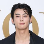 [단독]'200억-82억 추징' 차은우·<b>판타지오</b>, 맞대응 나섰다...대형...