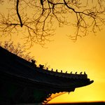 sensing <b>the</b> invisible threads