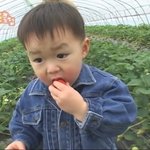 [댓글부탁해] <b>와코</b> 하이디라오 영상 봤냐..?