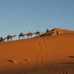 [유다이즘] <b>사막</b>에서의 사흘