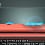 근육의 성장률을 결정하는것.<b>jpg</b>