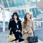 콩냥이즈 파리 헤<b>메코</b> 진심 레전드 맞는 듯