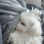 [혼자하는말] 내가 살아가는이유