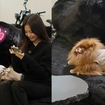 "누나 졸리다 멍"..<b>촬영</b> 내내 제니 옆에 껌딱지처럼 붙어있는 반려견...