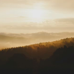 [유다이즘] 절망 속에서 기도하기