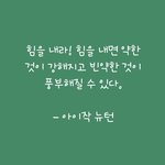 <b>폰</b>을