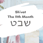 [유다이즘] 쉐밧(שְׁבָט)월