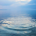 [유다이즘] 쉐밧(שְׁבָט)월의 <b>영적</b> 의미