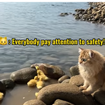 [<b>레이</b>] 사담)caption너무베리레드(mommy)