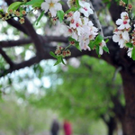 않는 것을 믿기(Trusting What <b>We</b> Cannot See)