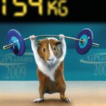 <b>adhd</b>인들아 인생고민 골라줘