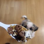 아<b>진자</b> 꿀맛