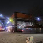 우리<b>강아지</b> 1분 천재견됐어