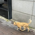 [댓글부탁해] 어떤 여자가 <b>결혼시장</b>에서 인기있기있는지 알려주세요...