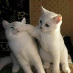 바람<b>둥이</b>나