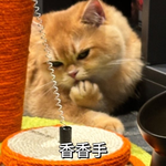 [<b>레이</b>] 베리레드톡)Tasty paw