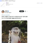 안녕! 난 행운의 고슴도치야!.jpg