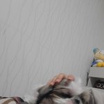 울<b>강</b>쥐귀욥지