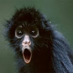 <b>가정교육</b> 못 받은 애들 신기함