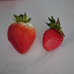 <b>장원영</b>이 먹은 딸기