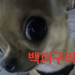 <b>소수</b>과여도 과팅미팅 잘 잡혀?