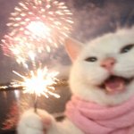 잘