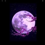 [테오시스] 사랑그리고