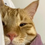 <b>피부</b> 진짜 개꿀팁하나 알려줌