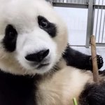 [19] 내가 여자인게 너무싫은데 어<b>카지</b>