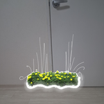 [<b>합성</b>] <b>합성</b> 꽃 + 등등