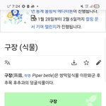 [<b>어원</b>] 피낭 ,,,