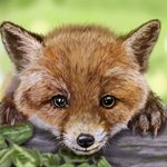 [어케생각해] <b>취미</b>로 그린 아기 여우 <b>그림</b>