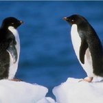 [테오시스] 남편 vs <b>아내</b>