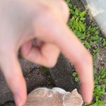 [드루와] <b>서울</b>에서 메이크업 받아본 애들 있냐