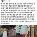 [댓글부탁해] <b>강아지</b>가 한의원가는게 효과가 있음?
