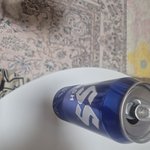 남잔데 이런 <b>슬리퍼</b>에 카페트를 깔겠니?